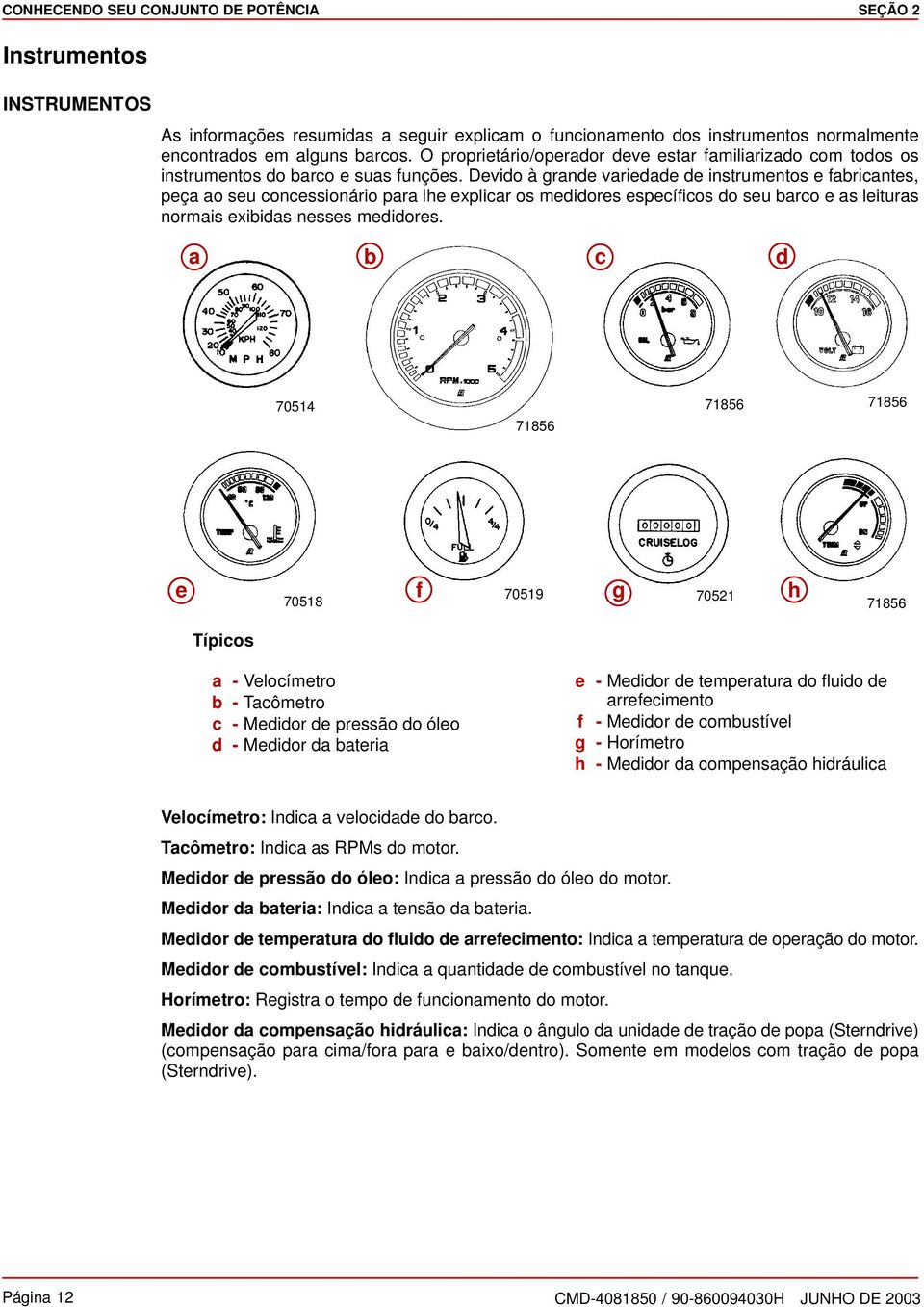 Devido à grnde vriedde de instrumentos e fbricntes, peç o seu concessionário pr lhe explicr os medidores específicos do seu brco e s leiturs normis exibids nesses medidores.