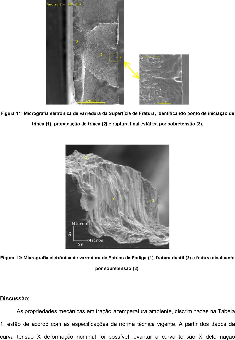 Figura 12: Micrografia eletrônica de varredura de Estrias de Fadiga (1), fratura dúctil (2) e fratura cisalhante por sobretensão (3).