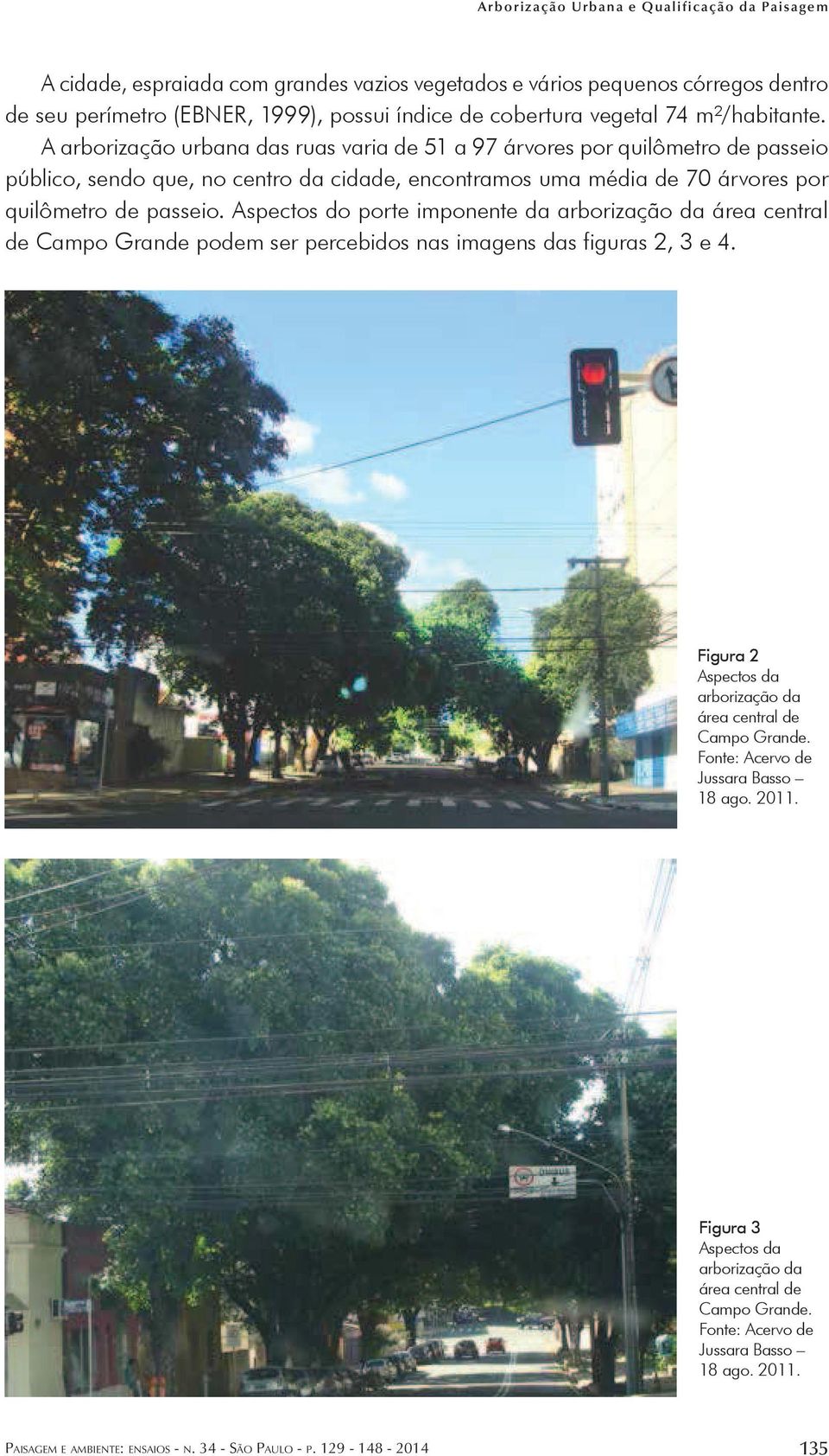 Aspectos do imponente da arborização da área central de Campo Grande podem ser percebidos nas imagens das figuras 2, 3 e 4. Figura 2 Aspectos da arborização da área central de Campo Grande.