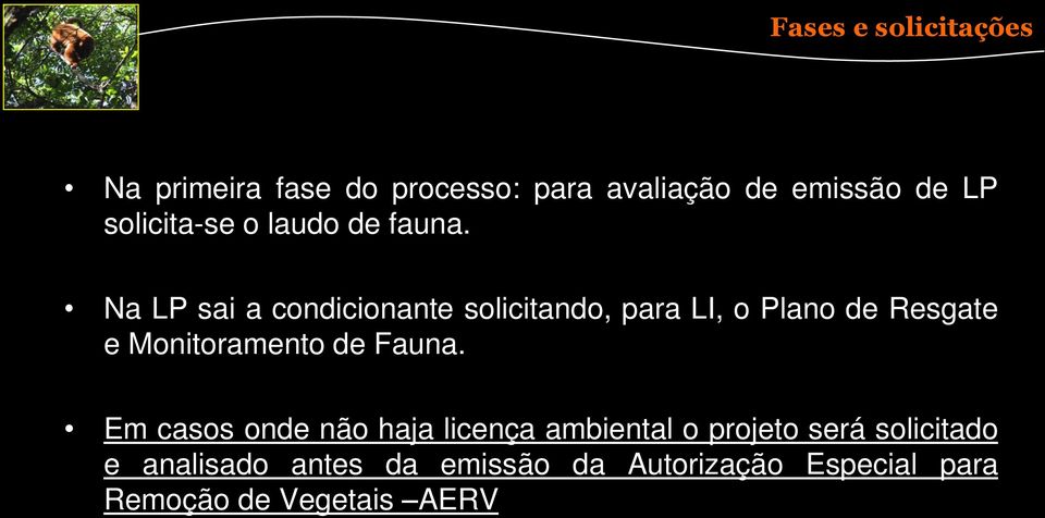 Na LP sai a condicionante solicitando, para LI, o Plano de Resgate e Monitoramento de