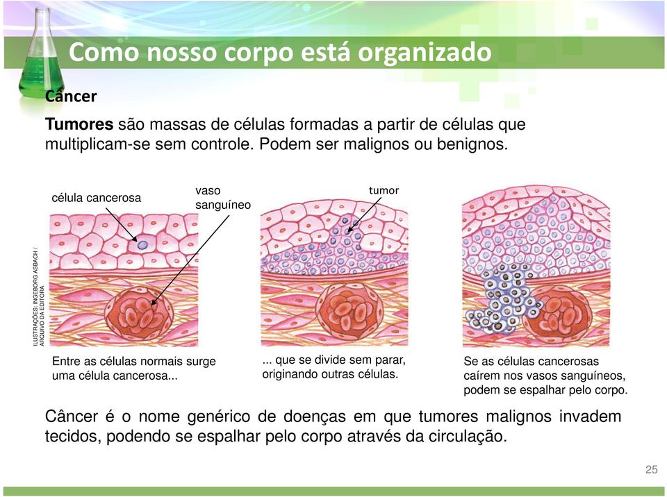 cancerosa...... que se divide sem parar, originando outras células.