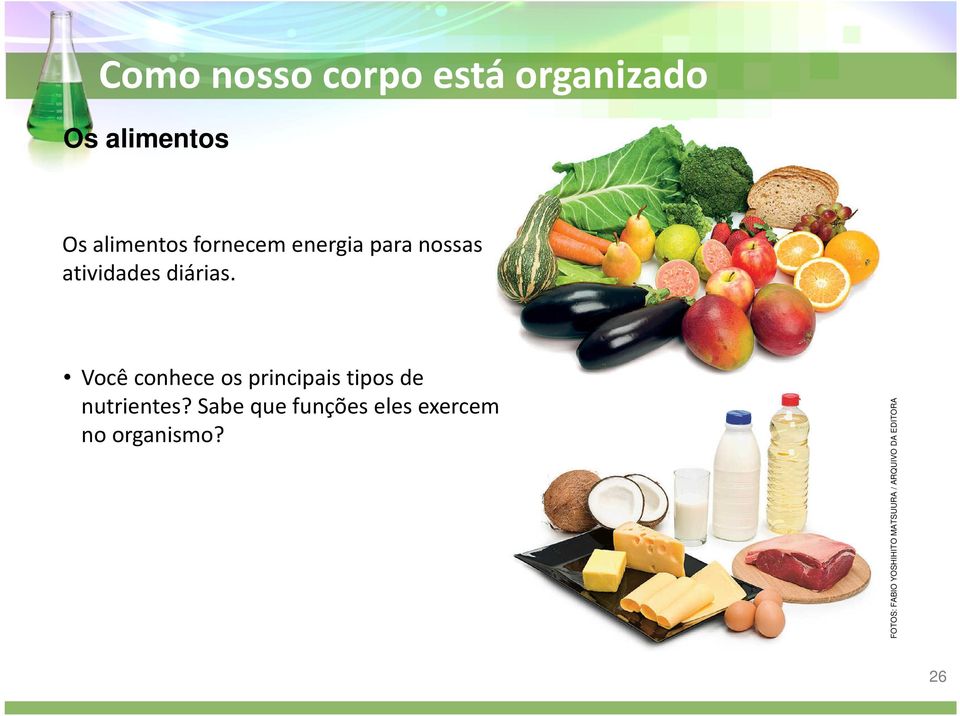 Você conhece os principais tipos de nutrientes?