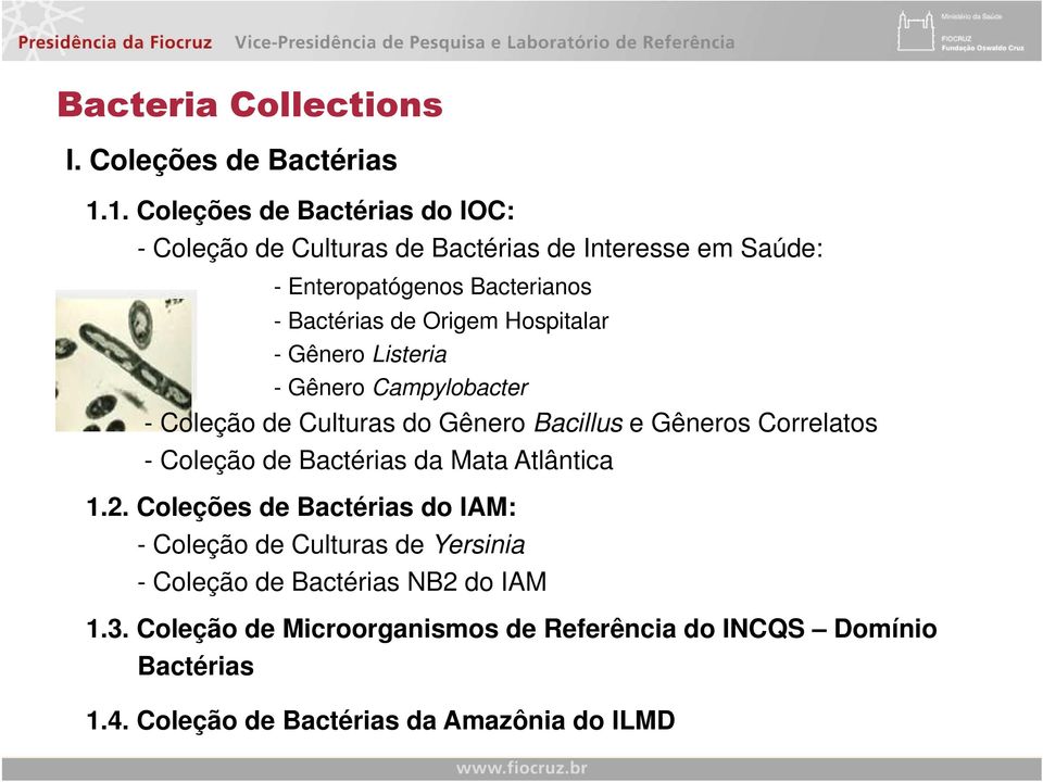 Origem Hospitalar - Gênero Listeria - Gênero Campylobacter - Coleção de Culturas do Gênero Bacillus e Gêneros Correlatos - Coleção de