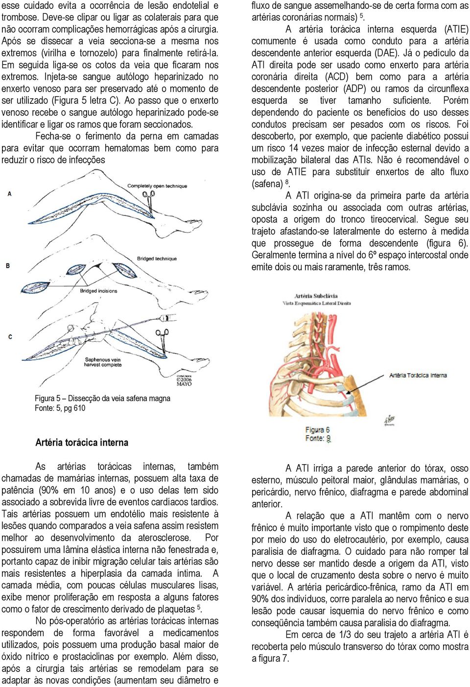 Injeta-se sangue autólogo heparinizado no enxerto venoso para ser preservado até o momento de ser utilizado (Figura 5 letra C).