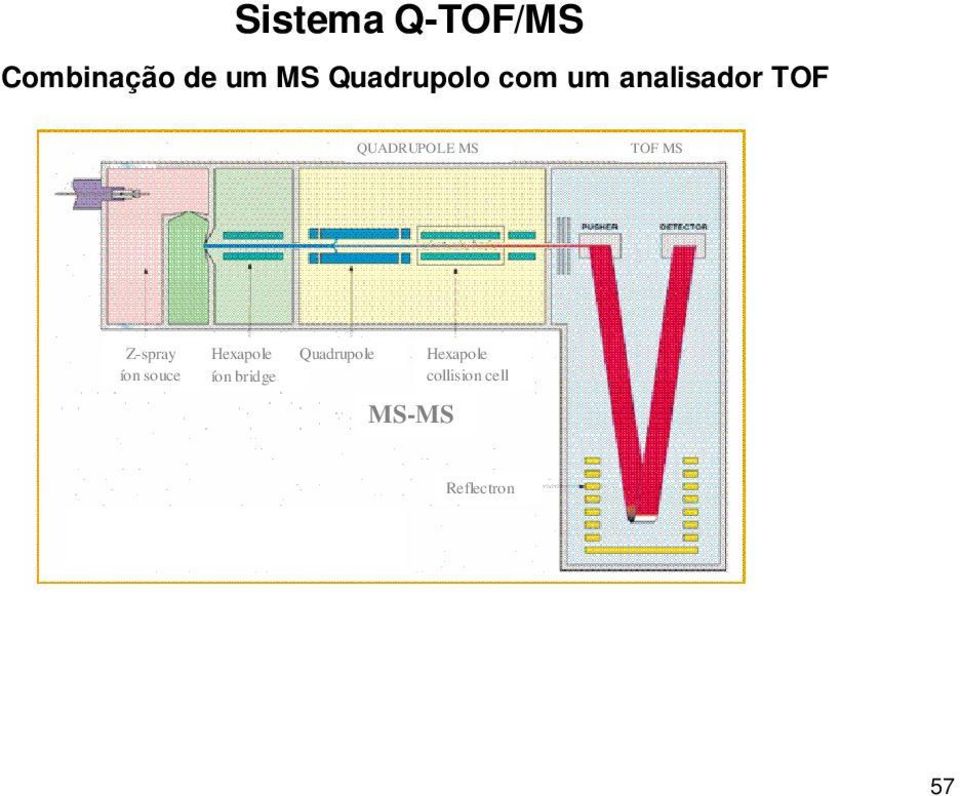 Z-spray íon souce Hexapole íon bridge Quadrupole MS-MS Hexapole collision cell Reflectron Algumas características do Q-TOF/MS Espectros de massas contínuos full-scan tornam o MS/MS Q TOF mais