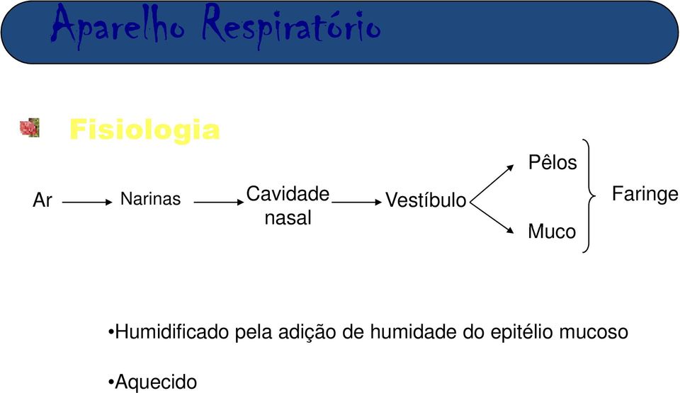 Faringe Humidificado pela adição