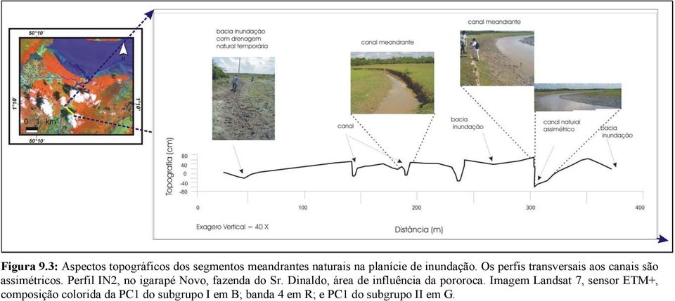 Os perfis transversais aos canais são assimétricos.