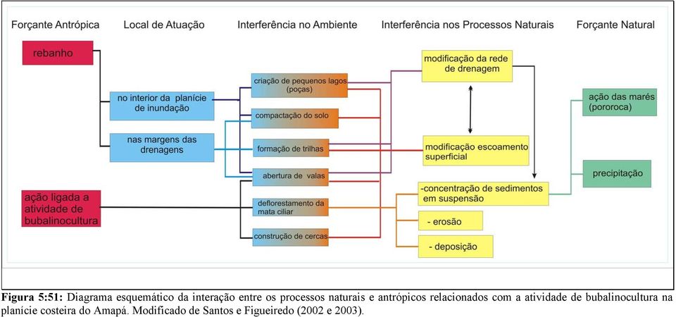 atividade de bubalinocultura na planície costeira do