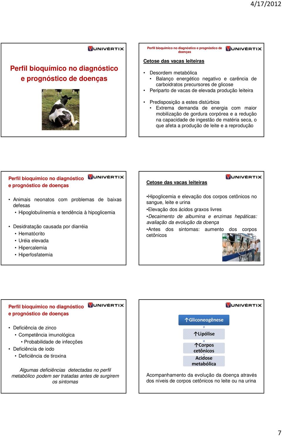 produção de leite e a reprodução Perfil bioquímico no diagnóstico e prognóstico de Animais neonatos com problemas de baixas defesas Hipoglobulinemia e tendência à hipoglicemia Desidratação causada