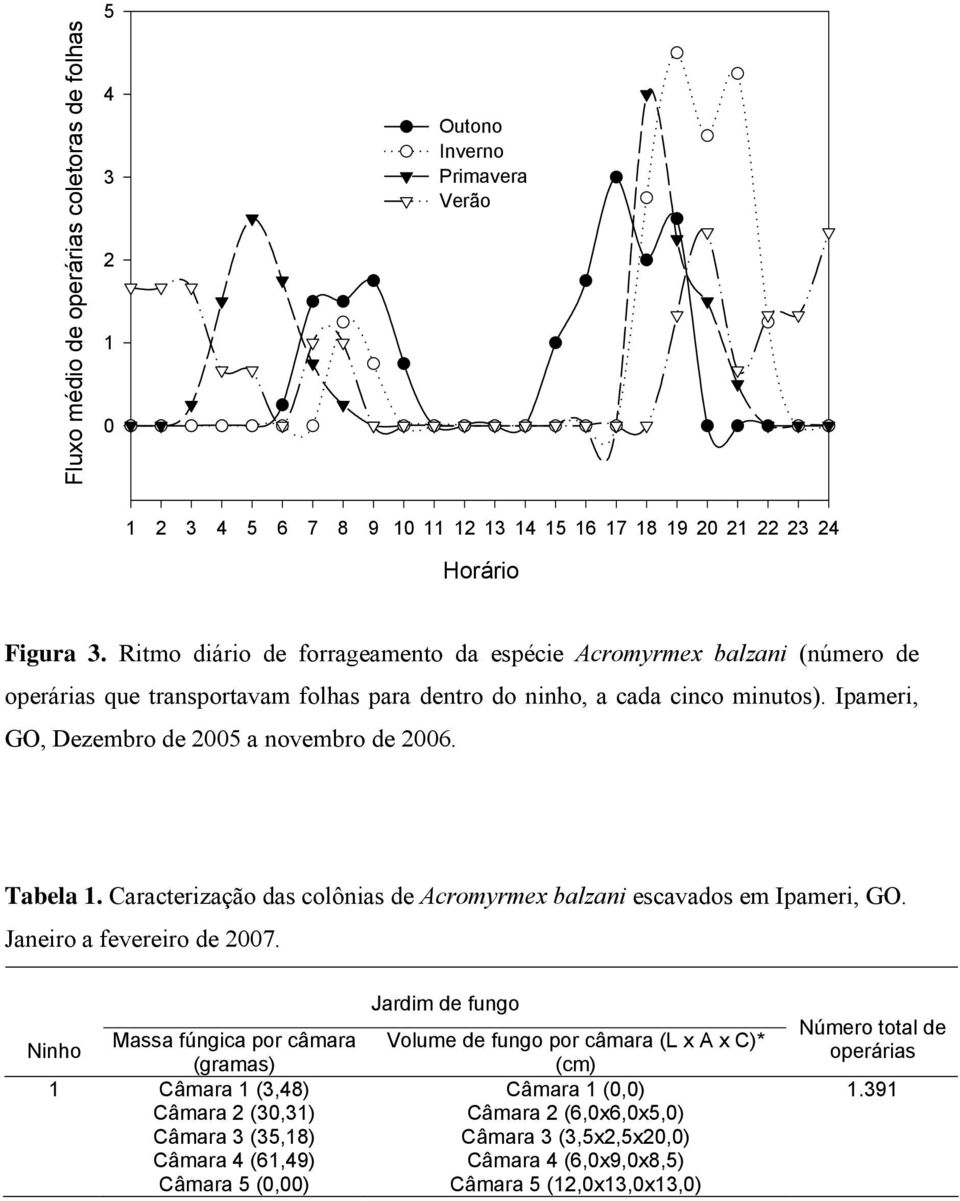 Tabela 1. Caracterização das colônias de Acromyrmex balzani escavados em Ipameri, GO. Janeiro a fevereiro de 2007.