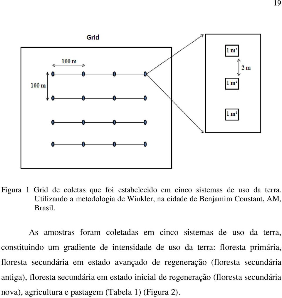 As amostras foram coletadas em cinco sistemas de uso da terra, constituindo um gradiente de intensidade de uso da terra: