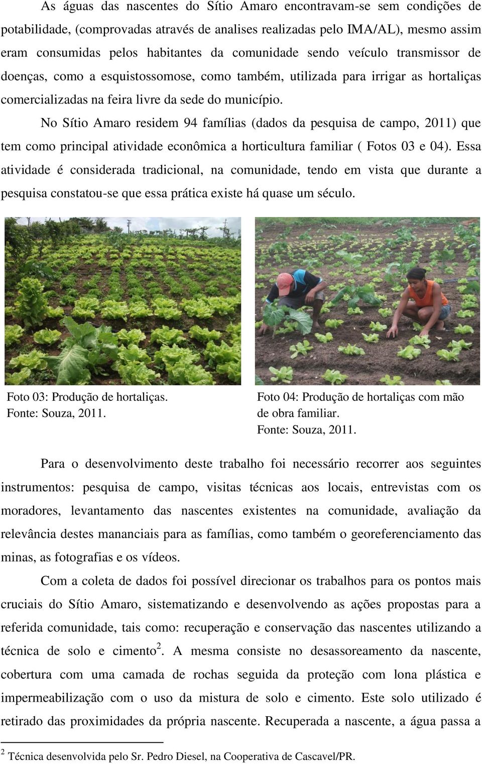 No Sítio Amaro residem 94 famílias (dados da pesquisa de campo, 2011) que tem como principal atividade econômica a horticultura familiar ( Fotos 03 e 04).