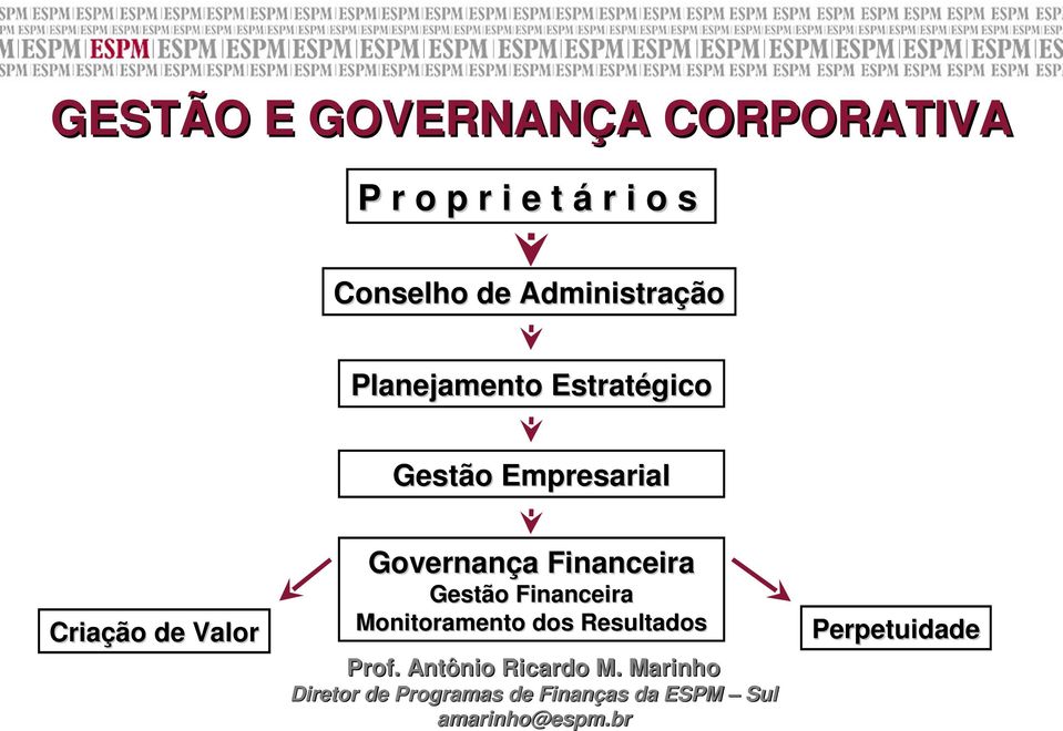 Gestão Empresarial Criação de Valor Governança