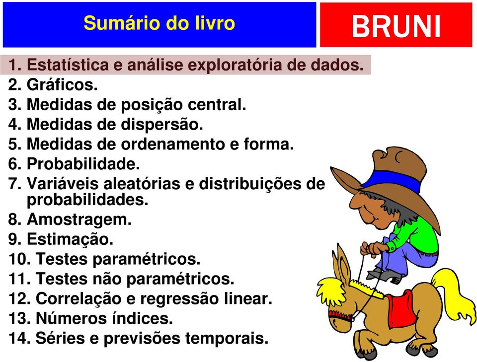 7. Variáveis aleatórias e distribuições de probabilidades. 8. Amostragem. 9. Estimação. 10.