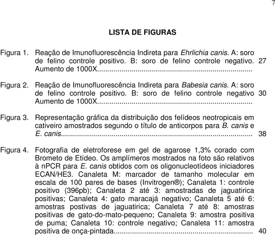 Representação gráfica da distribuição dos felídeos neotropicais em cativeiro amostrados segundo o título de anticorpos para B. canis e E. canis... 38 Figura 4.