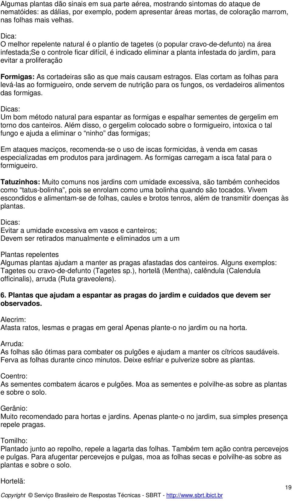 proliferação Formigas: As cortadeiras são as que mais causam estragos.