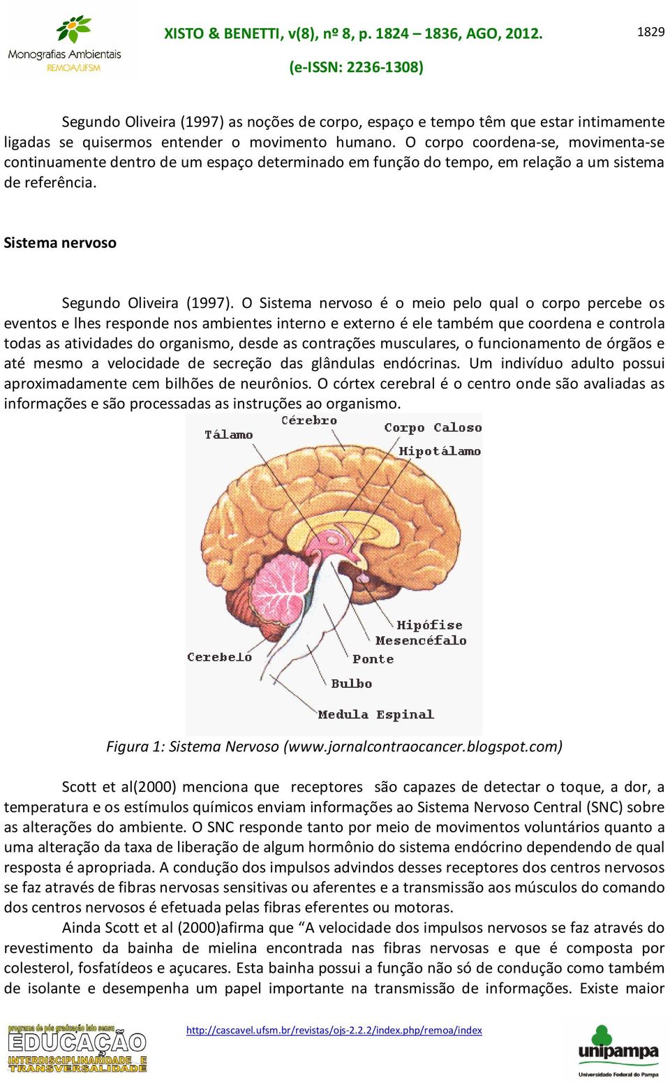 O Sistema nervoso é o meio pelo qual o corpo percebe os eventos e lhes responde nos ambientes interno e externo é ele também que coordena e controla todas as atividades do organismo, desde as