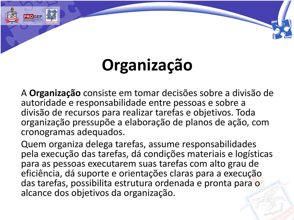 Quem organiza delega tarefas, assume responsabilidades pela execução das tarefas, dá condições materiais e logísticas para as pessoas executarem suas