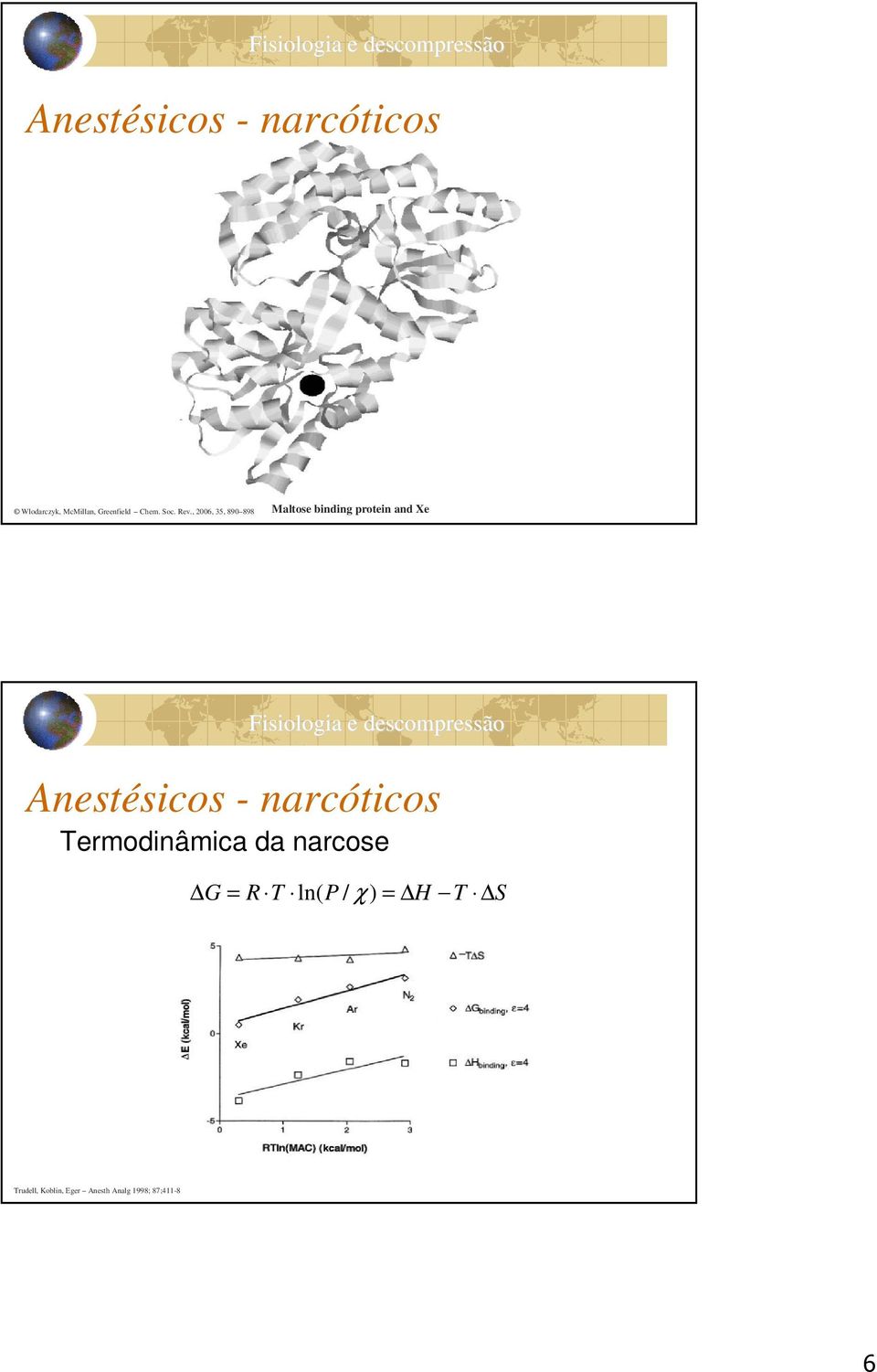 , 2006, 35, 890 898 Maltose binding protein and Xe Anestésicos
