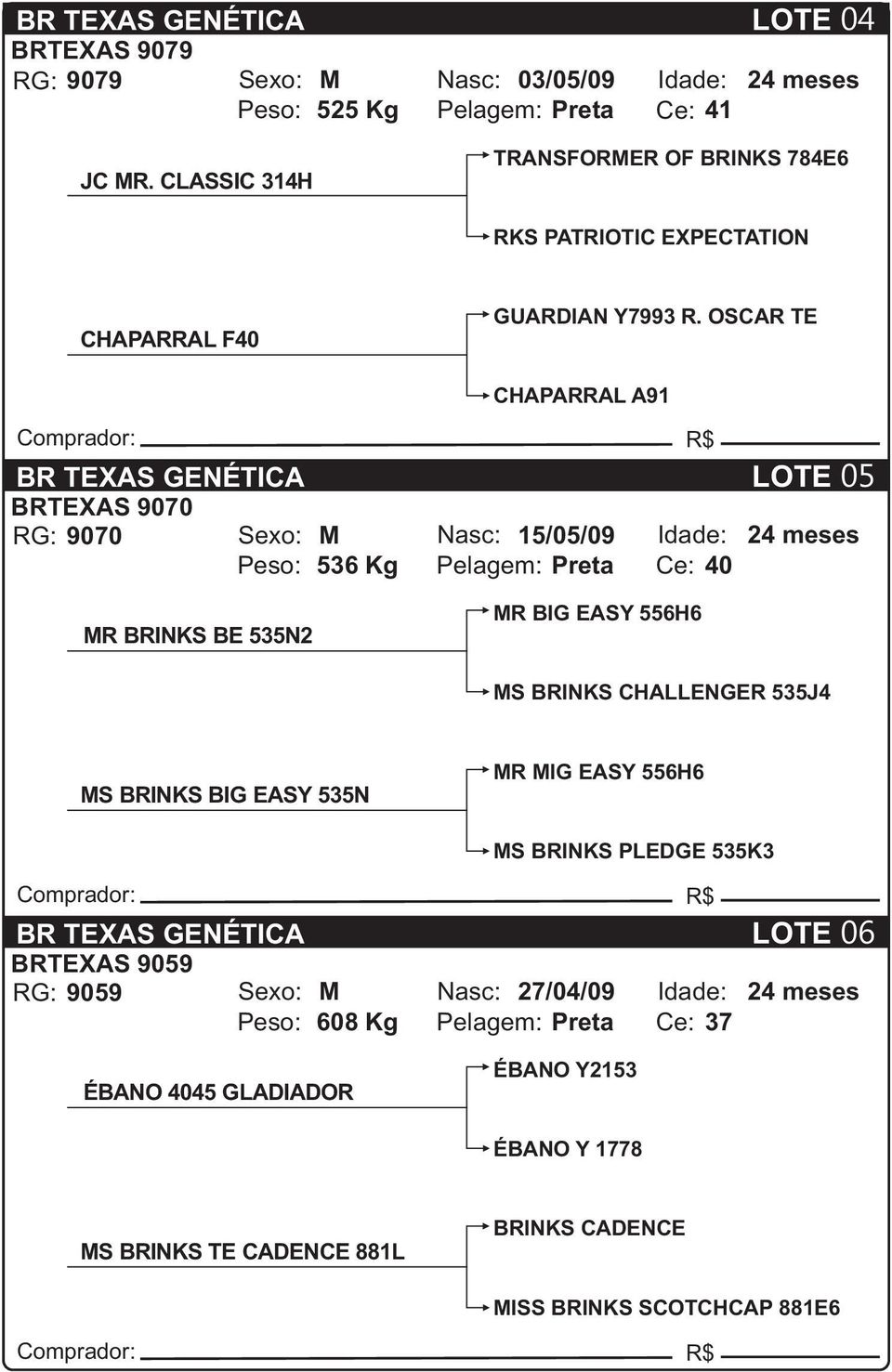 OSCAR TE CHAPARRAL A91 LOTE 05 BRTEXAS 9070 RG: 9070 Sexo: M Nasc: 15/05/09 Idade: 24 meses Peso: 536 Kg Pelagem: Preta Ce: 40 MR BRINKS BE 535N2 MR BIG EASY