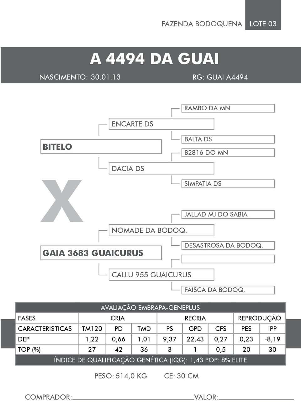 SABIA NOMADE DA BODOQ. GAIA 3683 GUAICURUS DESASTROSA DA BODOQ. CALLU 955 GUAICURUS FAISCA DA BODOQ.