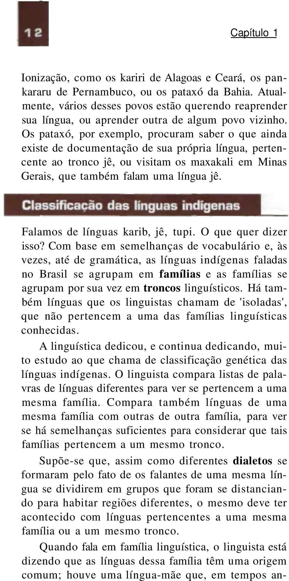 Os pataxó, por exemplo, procuram saber o que ainda existe de documentação de sua própria língua, pertencente ao tronco jê, ou visitam os maxakali em Minas Gerais, que também falam uma língua jê.