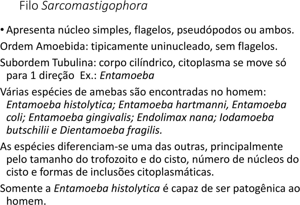 : Entamoeba Várias espécies de amebas são encontradas no homem: Entamoeba histolytica; Entamoeba hartmanni, Entamoeba coli; Entamoeba gingivalis; Endolimax nana;