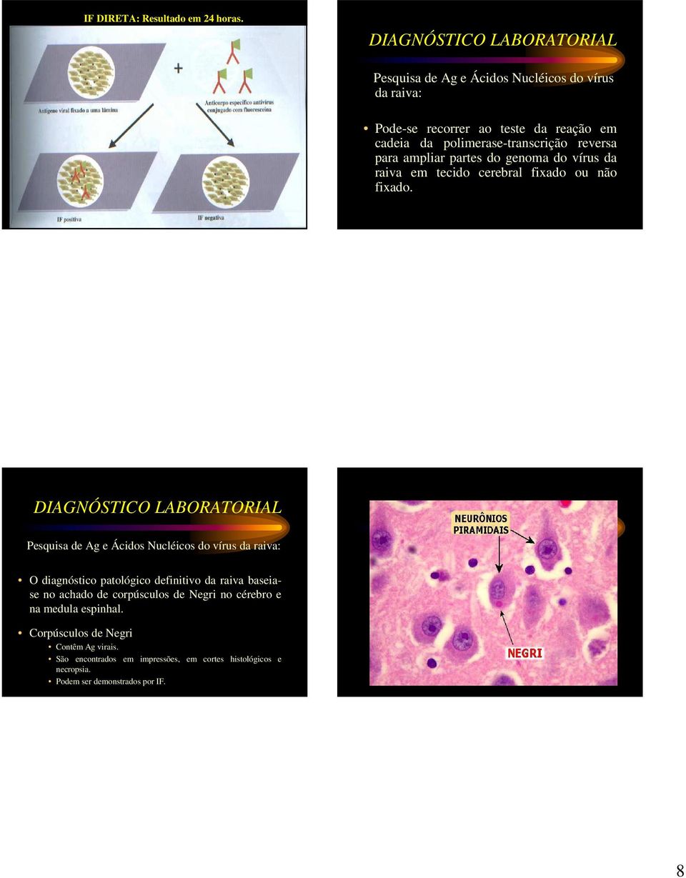 ampliar partes do genoma do vírus da raiva em tecido cerebral fixado ou não fixado.