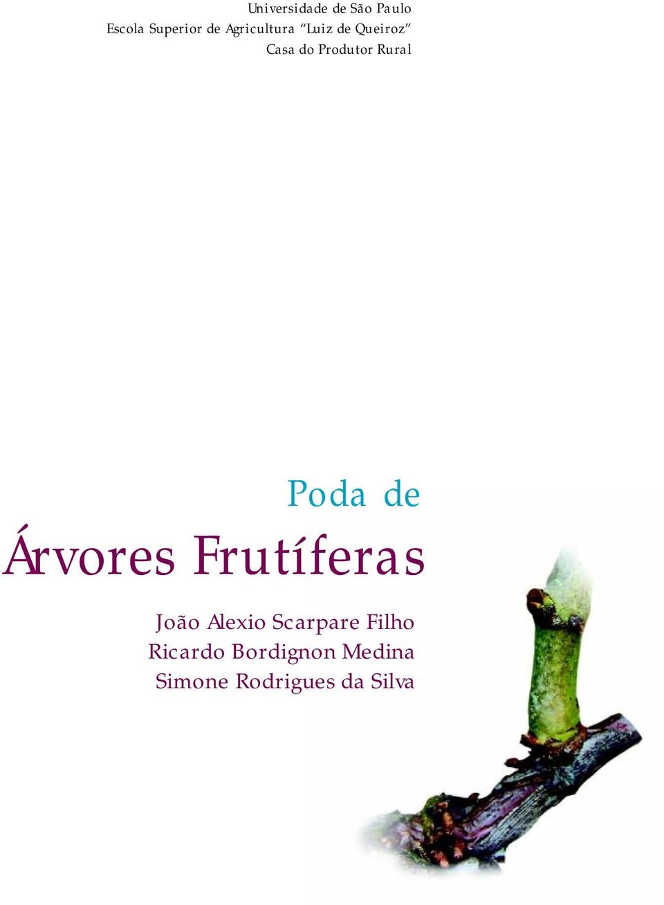 Rural Poda de Árvores Frutíferas João Alexio