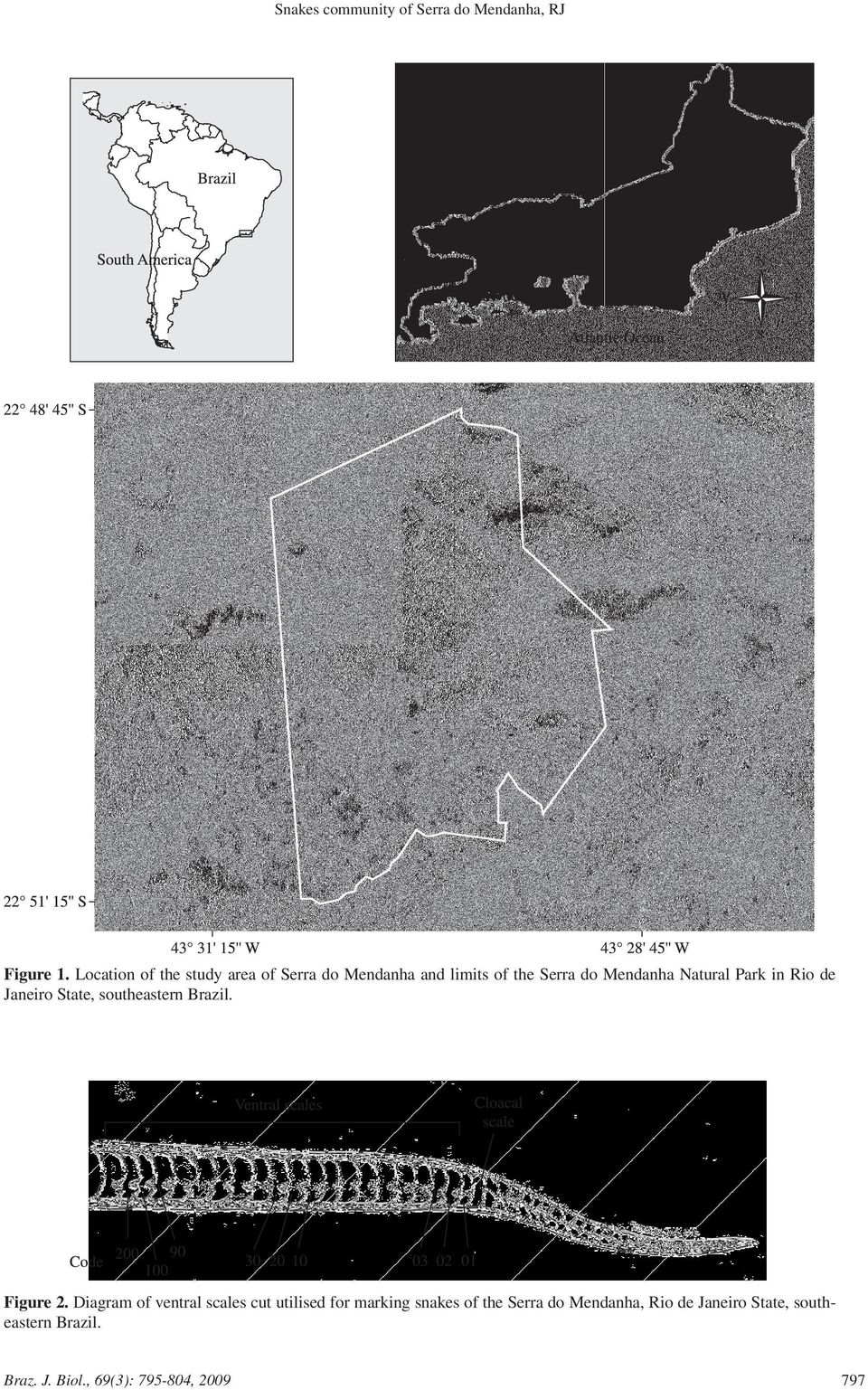 Park in Rio de Janeiro State, southeastern Brazil. Figure 2.