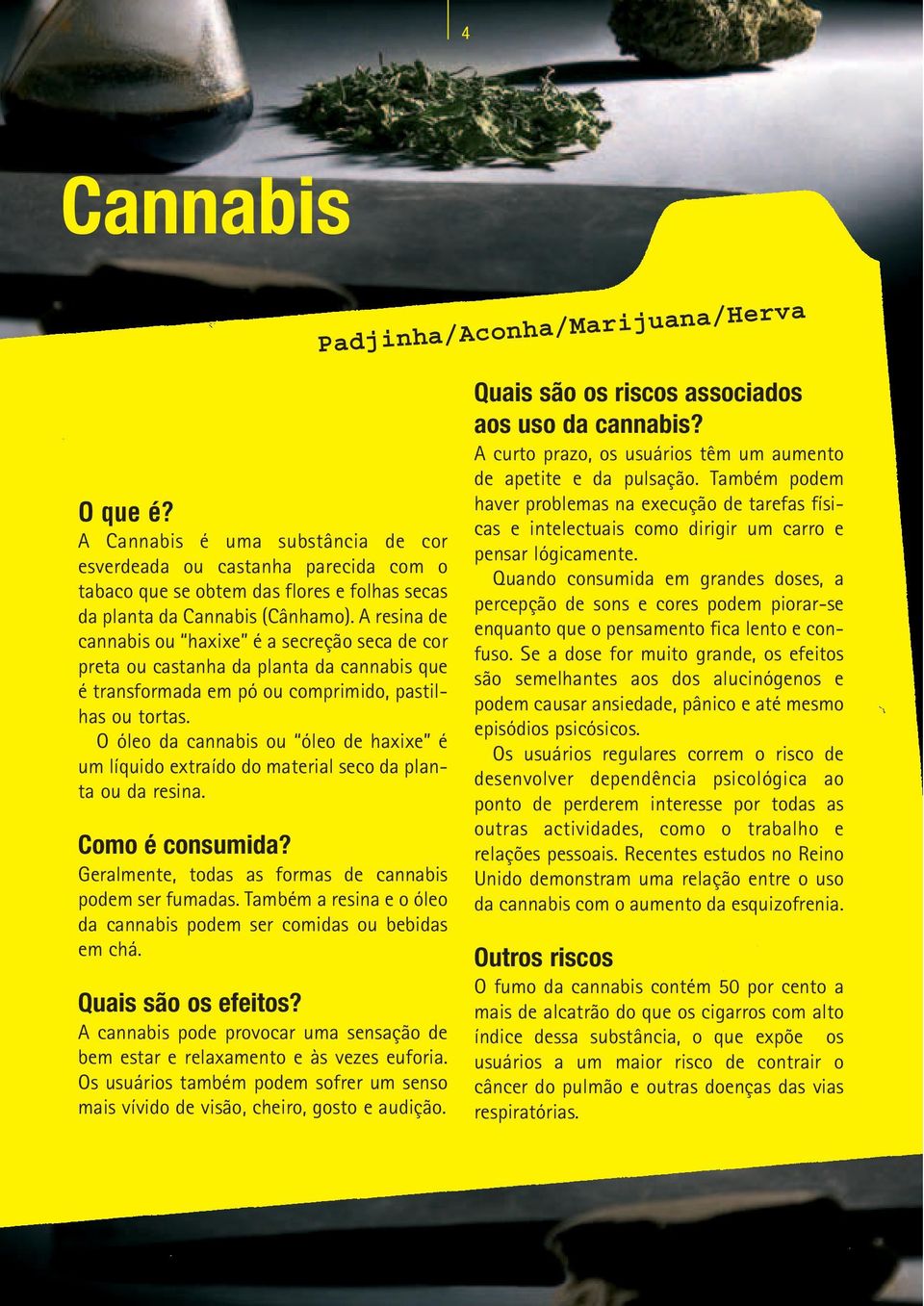 O óleo da cannabis ou óleo de haxixe é um líquido extraído do material seco da planta ou da resina. Como é consumida? Geralmente, todas as formas de cannabis podem ser fumadas.