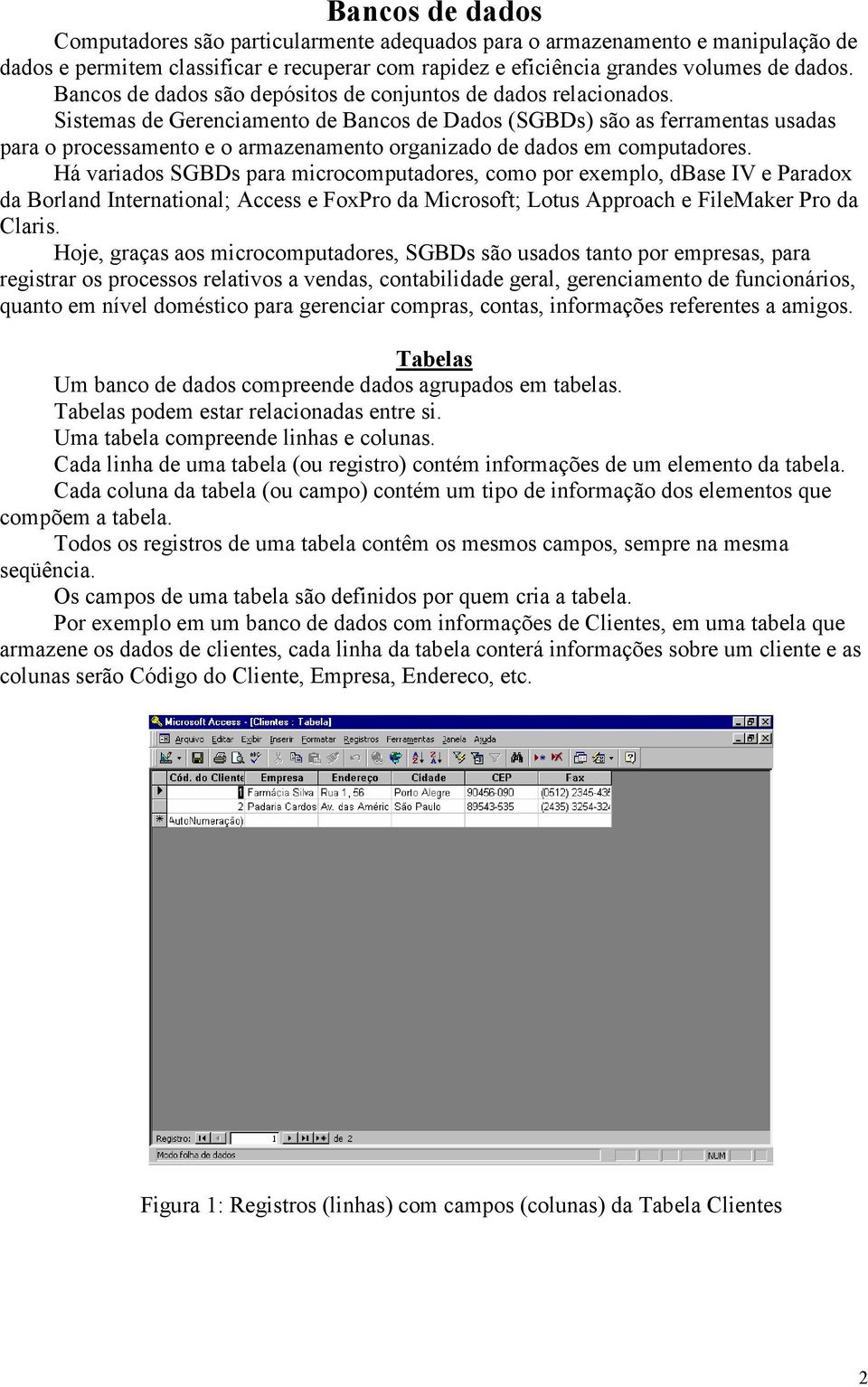 Sistemas de Gerenciamento de Bancos de Dados (SGBDs) são as ferramentas usadas para o processamento e o armazenamento organizado de dados em computadores.