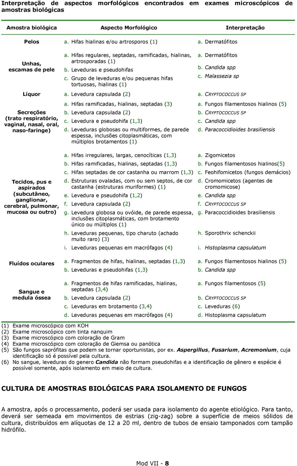 Grupo de leveduras e/ou pequenas hifas tortuosas, hialinas (1) a. Dermatófitos b. Candida spp c. Malassezia sp Líquor a. Levedura capsulada (2) a.