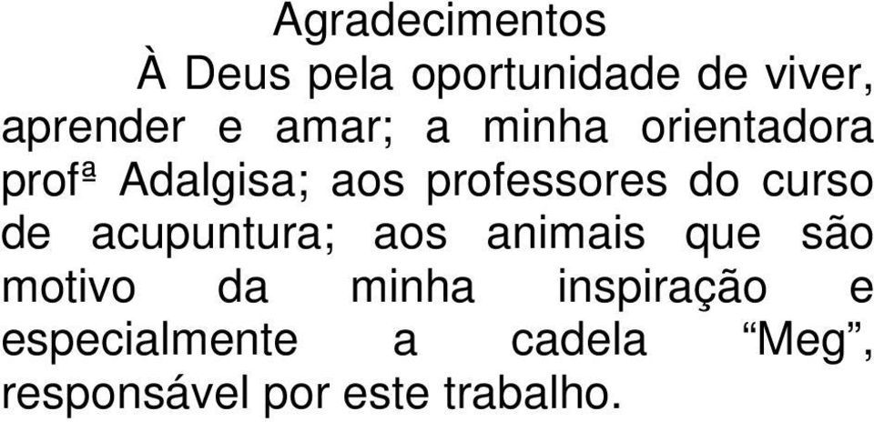 curso de acupuntura; aos animais que são motivo da minha