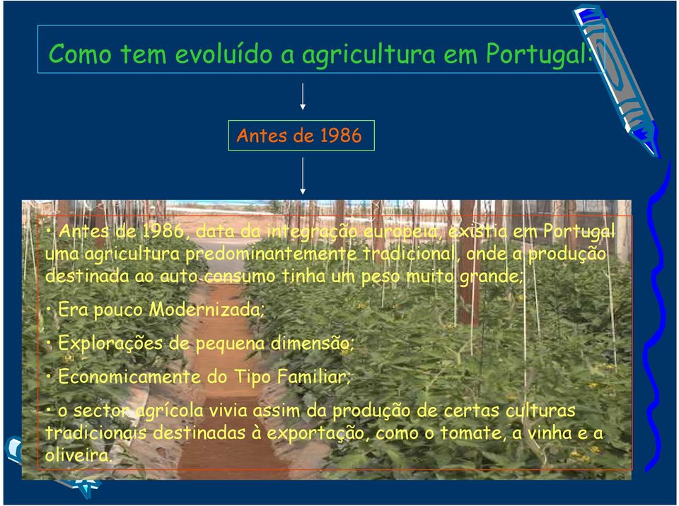 muito grande; Era pouco Modernizada; Explorações de pequena dimensão; Economicamente do Tipo Familiar; o sector