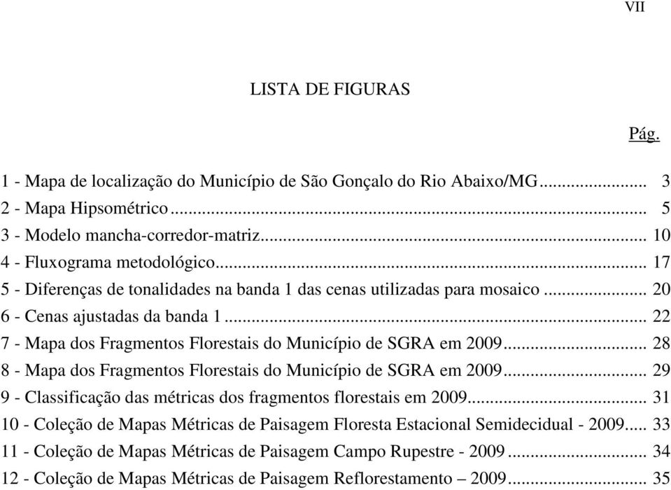.. 22 7 - Mapa dos Fragmentos Florestais do Município de SGRA em 2009... 28 8 - Mapa dos Fragmentos Florestais do Município de SGRA em 2009.