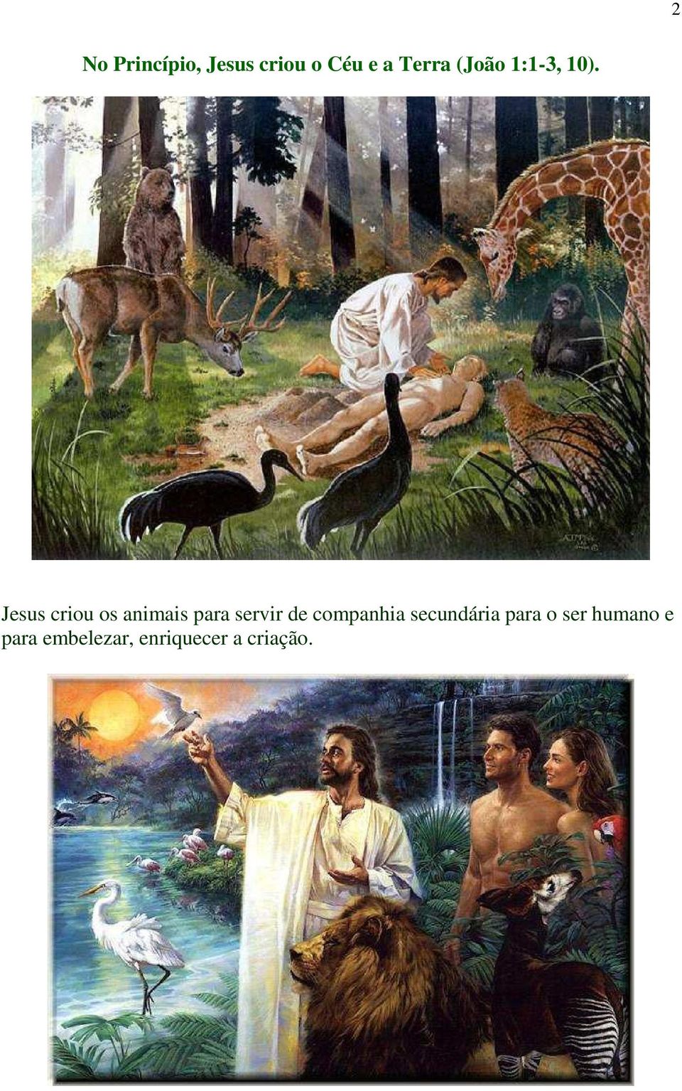 Jesus criou os animais para servir de