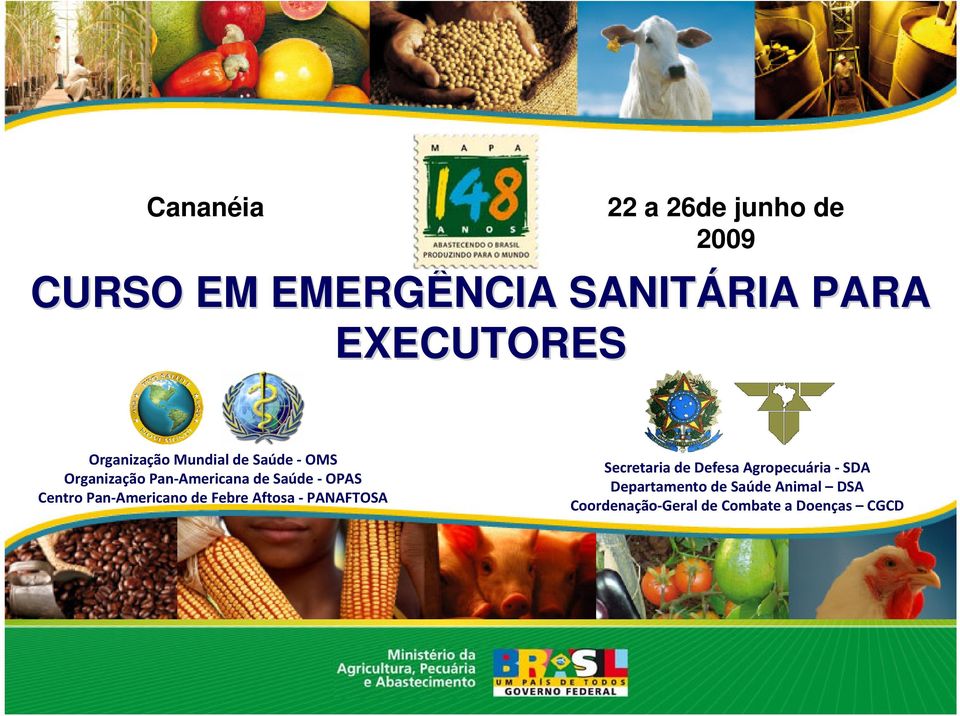 Centro Pan Americano de Febre Aftosa PANAFTOSA Secretaria de Defesa