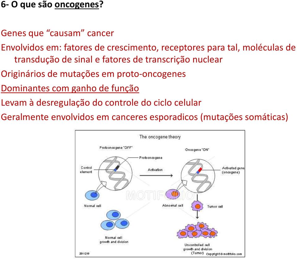 moléculas de transdução de sinal e fatores de transcrição nuclear Originários de mutações