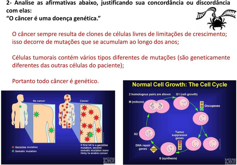 O câncer sempre resulta de clones de células livres de limitações de crescimento;