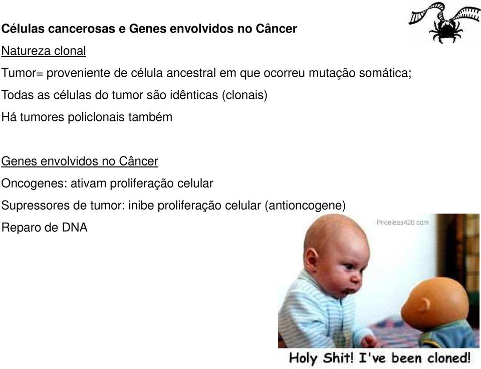 (clonais) Há tumores policlonais também Genes envolvidos no Câncer Oncogenes: ativam