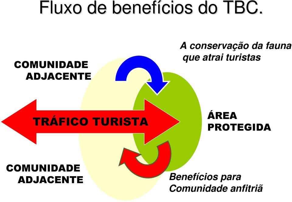 que atrai turistas TRÁFICO TURISTA ÁREA