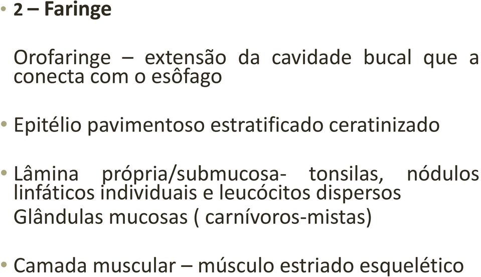 própria/submucosa- tonsilas, nódulos linfáticos individuais e leucócitos