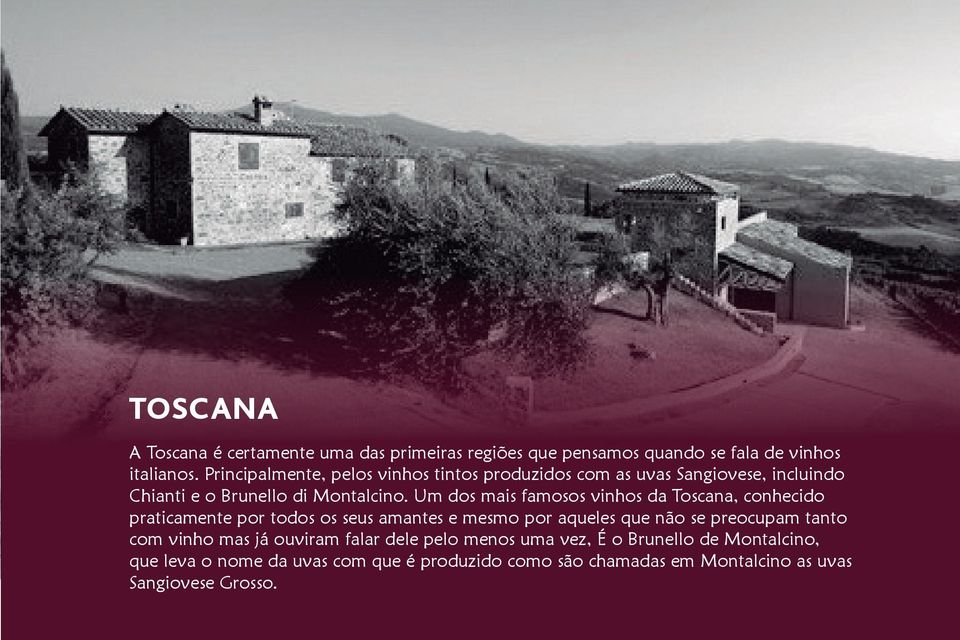 Um dos mais famosos vinhos da Toscana, conhecido praticamente por todos os seus amantes e mesmo por aqueles que não se preocupam tanto