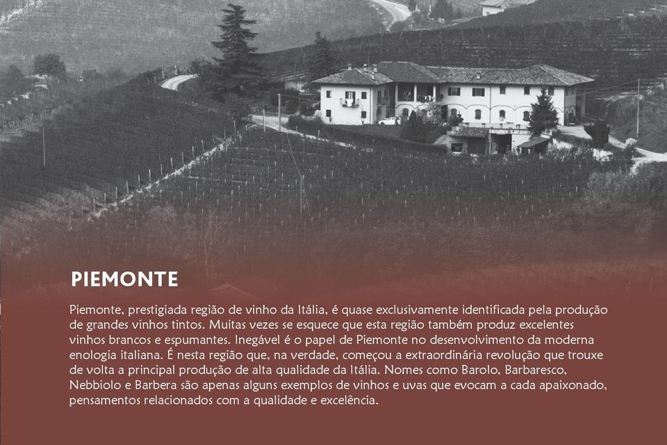 Inegável é o papel de Piemonte no desenvolvimento da moderna enologia italiana.