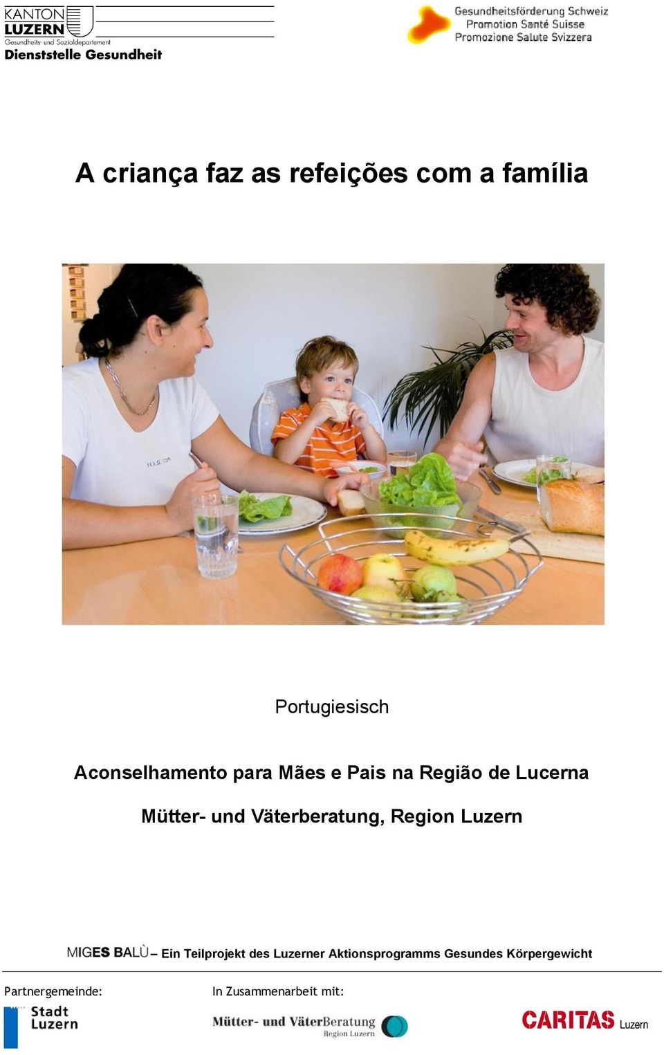 Luzern Ein Teilprojekt des Luzerner Aktionsprogramms