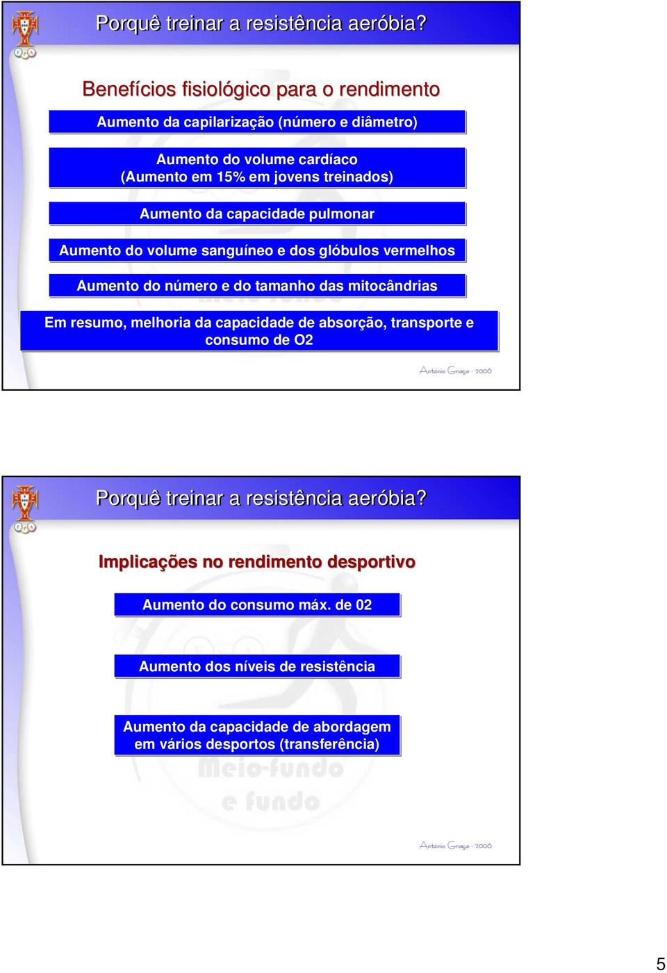 Aumento da capacidade pulmonar Aumento do volume sanguíneo e dos glóbulos vermelhos Aumento do número e do tamanho das mitocândrias Em resumo, melhoria