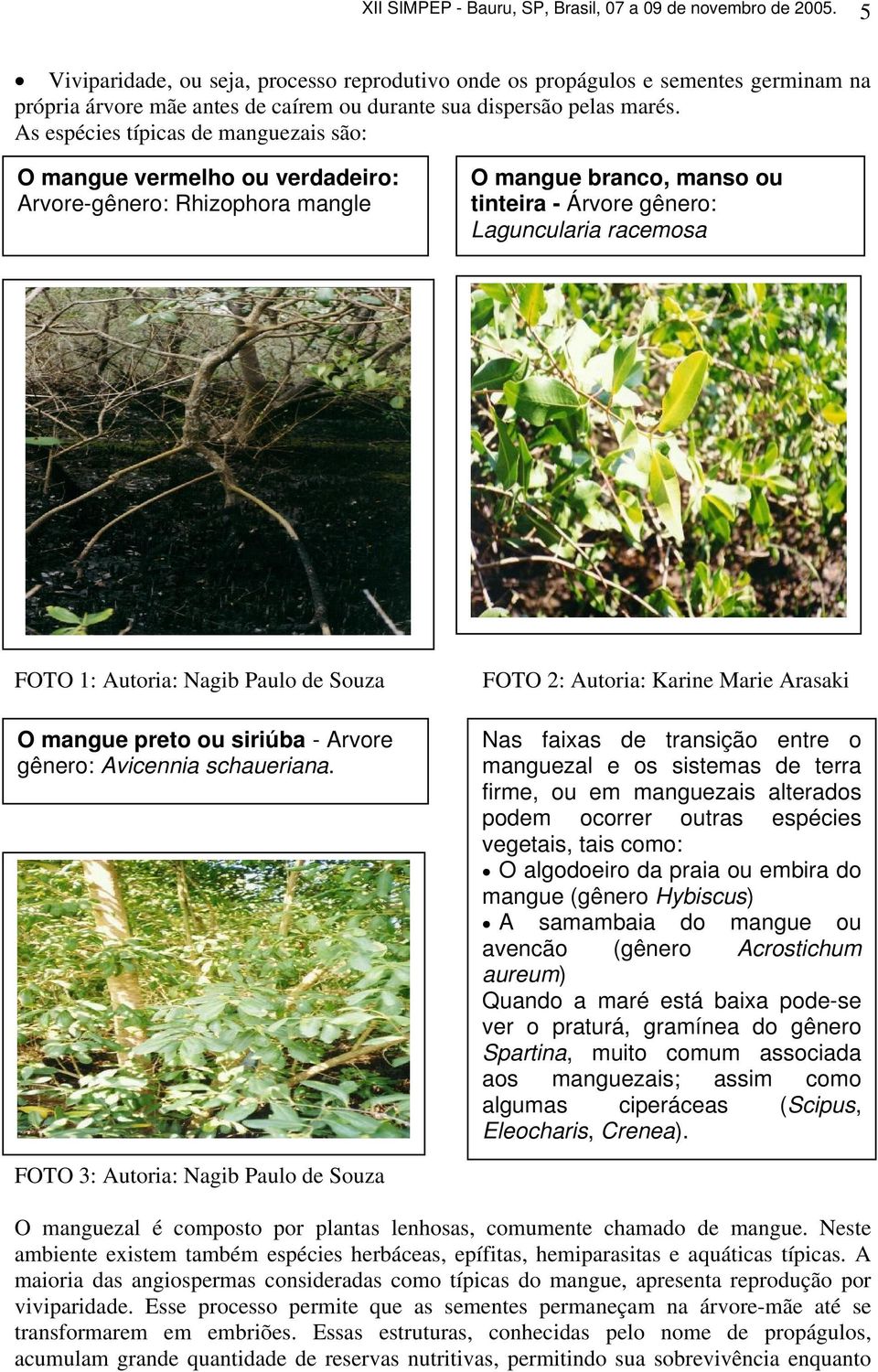 As espécies típicas de manguezais são: O mangue vermelho ou verdadeiro: Arvore-gênero: Rhizophora mangle O mangue branco, manso ou tinteira - Árvore gênero: Laguncularia racemosa FOTO 2: Autoria: