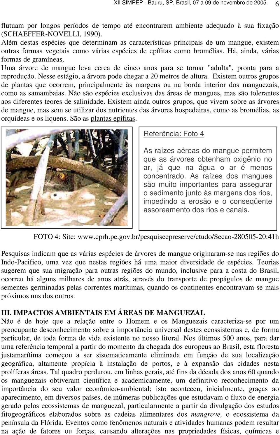 Uma árvore de mangue leva cerca de cinco anos para se tornar "adulta", pronta para a reprodução. Nesse estágio, a árvore pode chegar a 20 metros de altura.