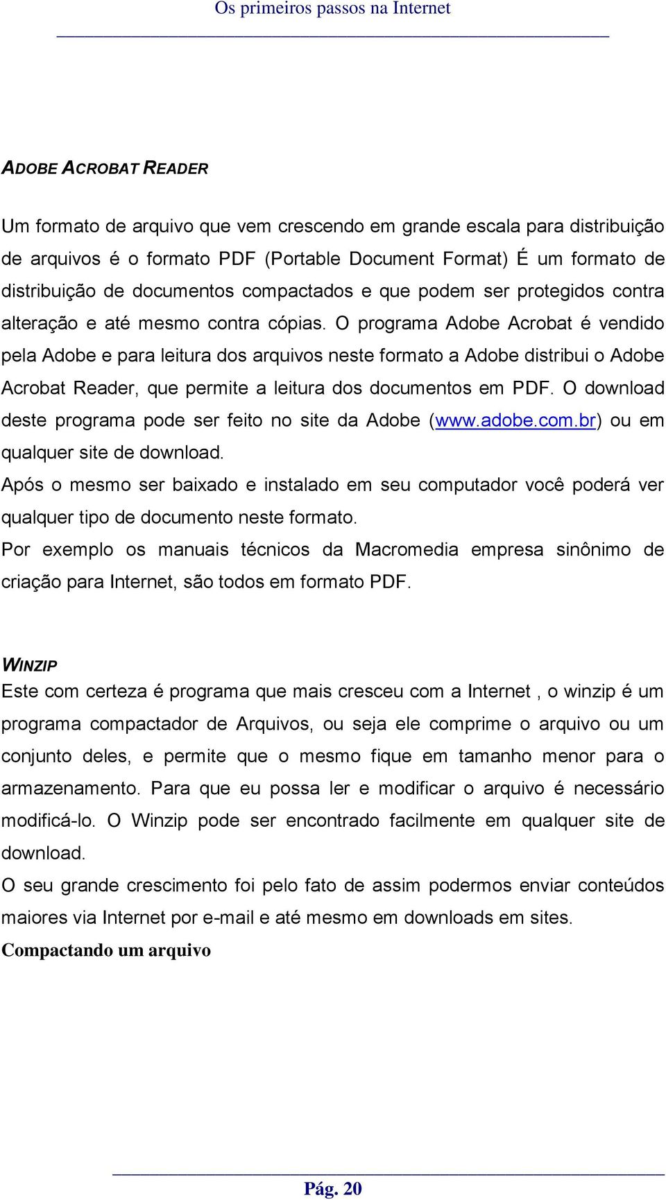 O programa Adobe Acrobat é vendido pela Adobe e para leitura dos arquivos neste formato a Adobe distribui o Adobe Acrobat Reader, que permite a leitura dos documentos em PDF.